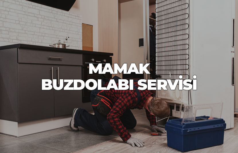 Mamak Buzdolabı Servisi